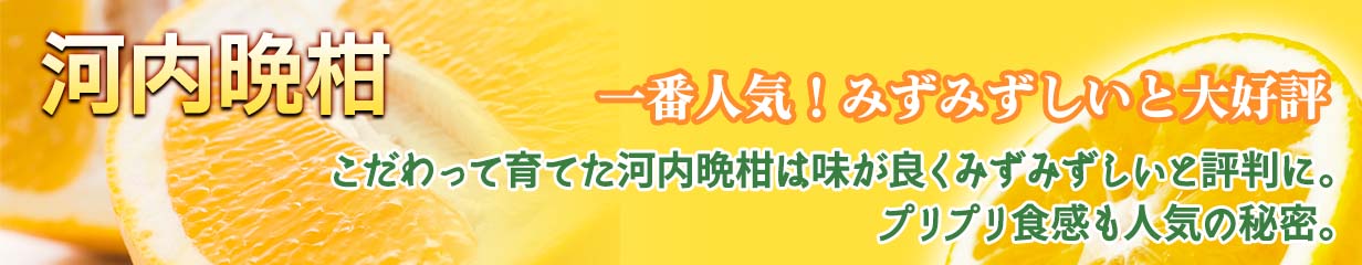 河内晩柑